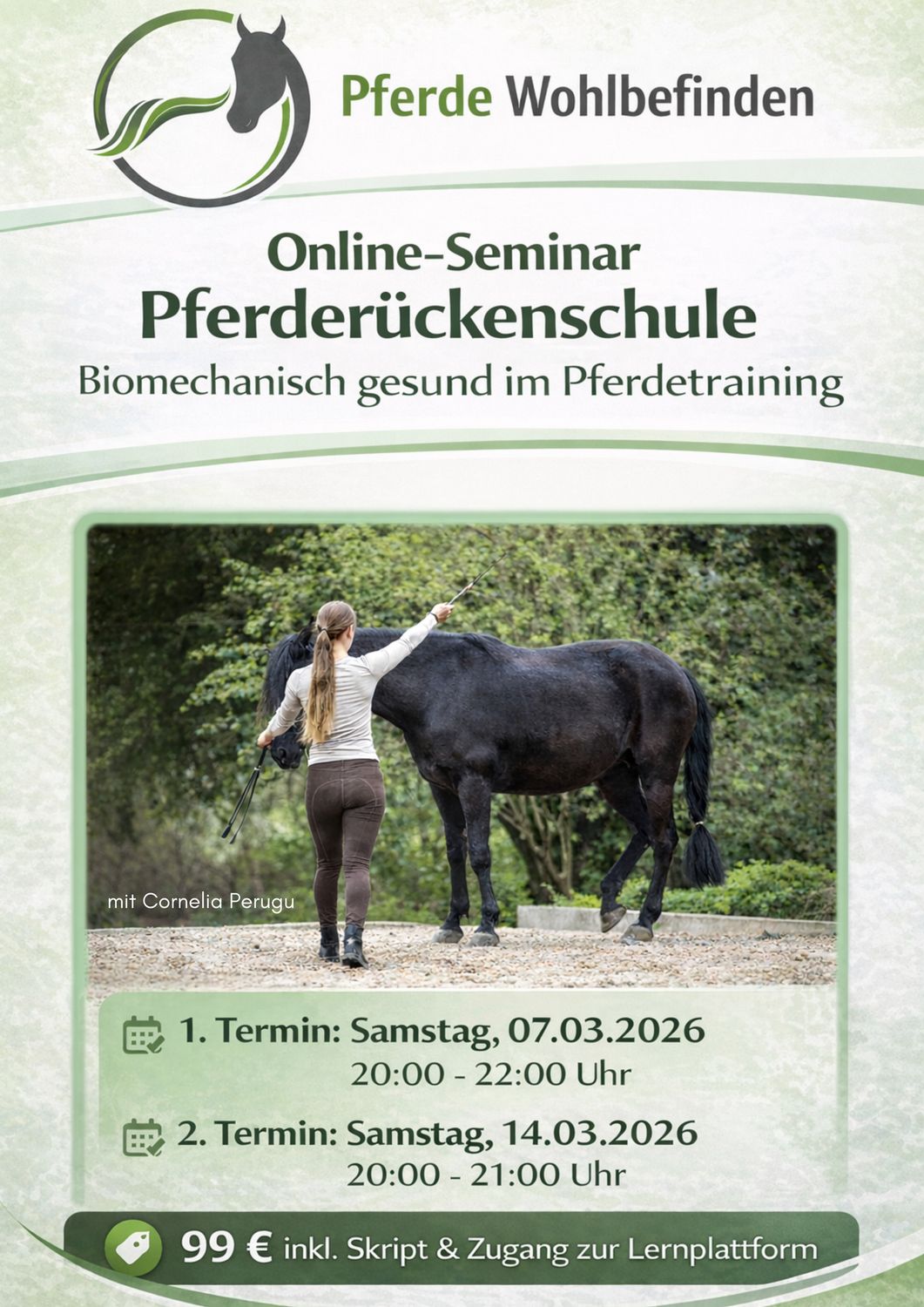 Online-Seminar Pferderückenschule - Biomechanisch gesundes Pferdetraining 07.03.+14.03.2026 Online-Seminar Pferderückenschule - Biomechanisch gesundes Pferdetraining 07.03.+14.03.2026