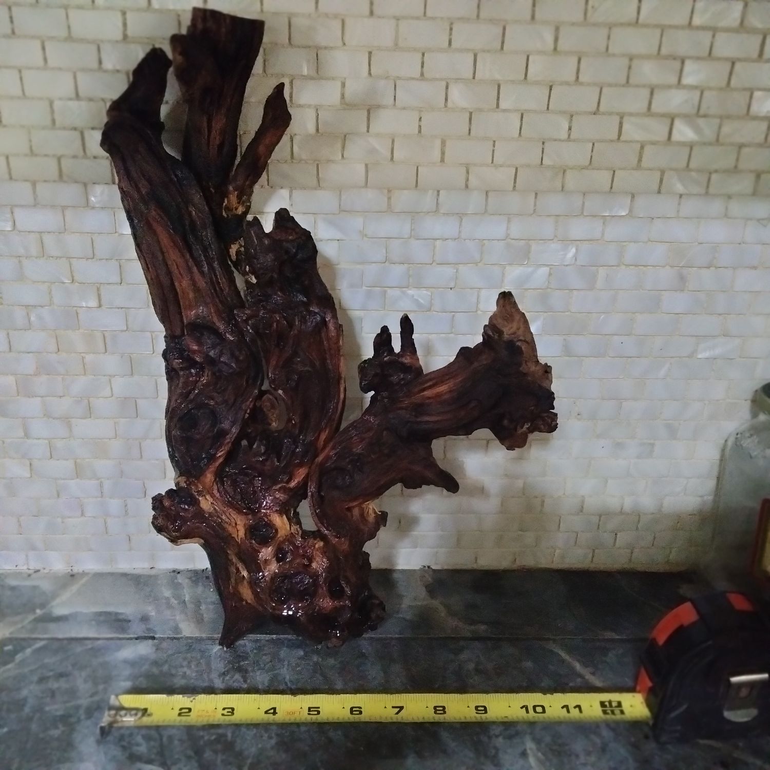 Beautiful large piece 14+ inches long. Coralwood. Can stand unsupported lengthwise or with support upright