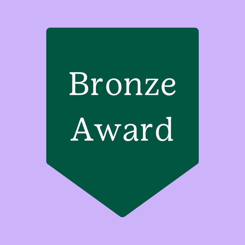 Bronze Award