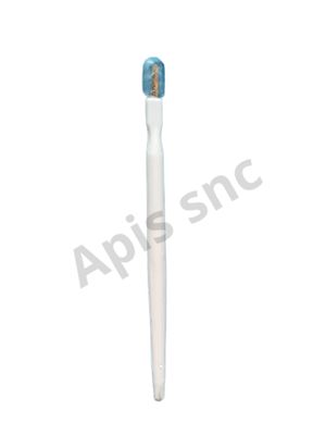 Penna per pappa reale