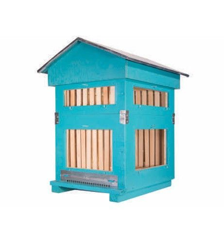 Arnia da osservazione da 10 favi