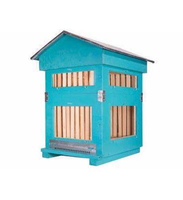 Arnia da osservazione da 10 favi