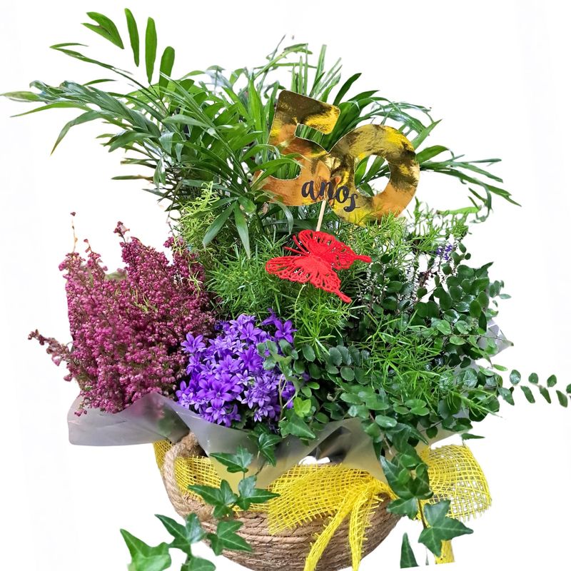 Arreglo Plantas Edén