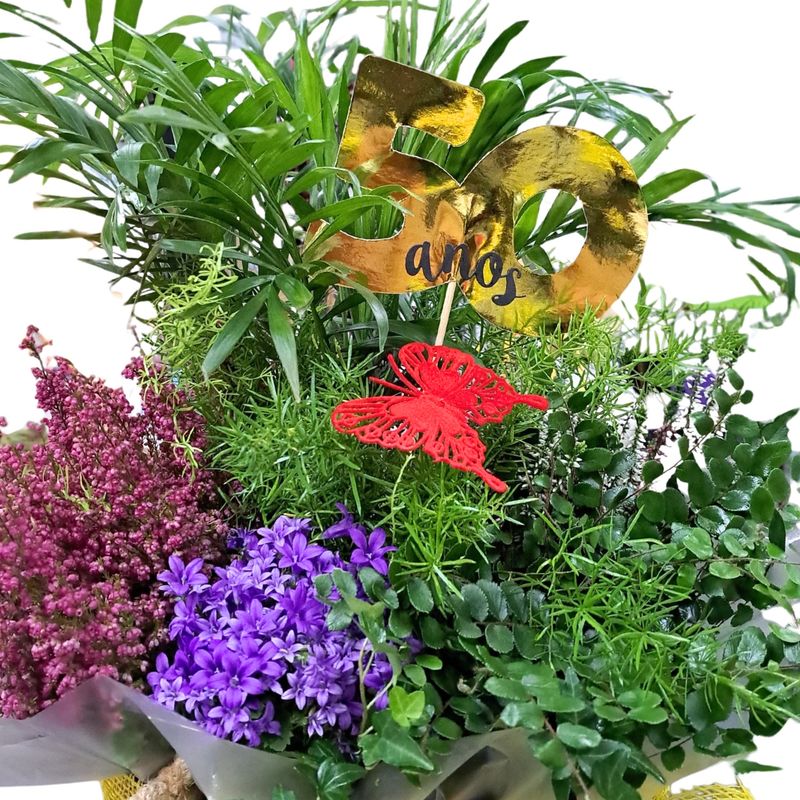 Arreglo Plantas Edén