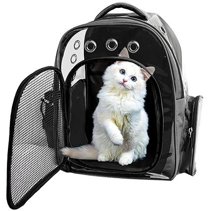 Sturdy Base cat Bag