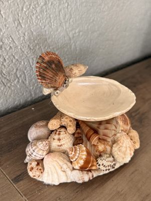 Jewelry Ring Dish with various shells