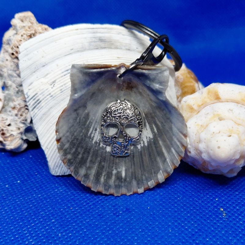 Black and Brown Scallop with Silver Skull