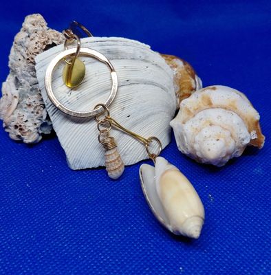 Olive and Auger Shells Keychain Olive and Auger Shells Keychain