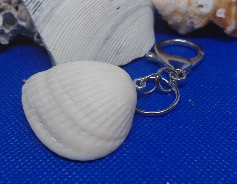 White Shell on Keychain with Charms and Beads inside