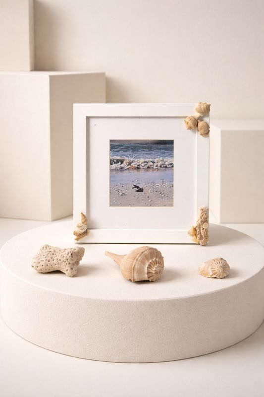 Frame with Natural Shells in 3 corners