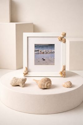 Frame with Natural Shells in 3 corners