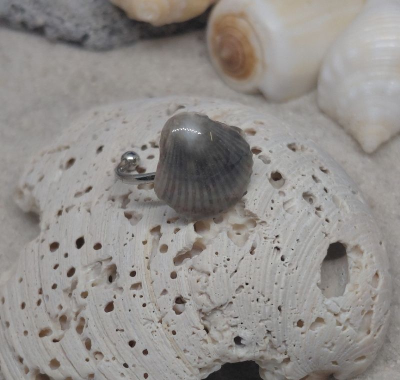 Scallop Shell on Adjustable Stainless Ring