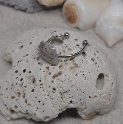 Cardita Shell on Adjustable Stainless Ring