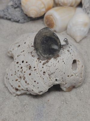 Jingle Shell on Adjustable Stainless Ring