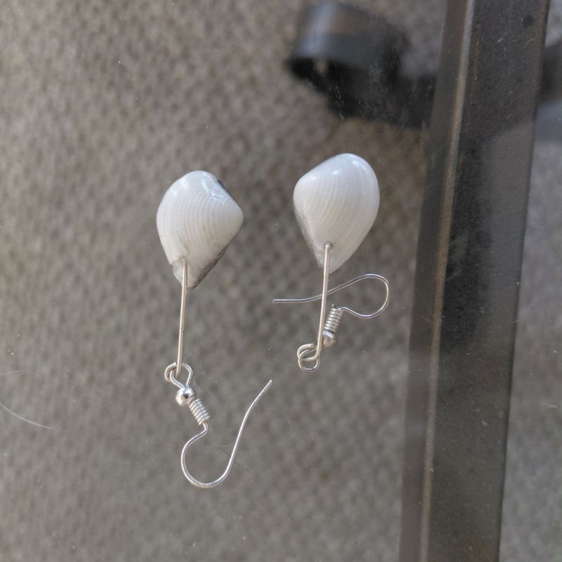 Alternate Tellin Shell Dangle Earrings