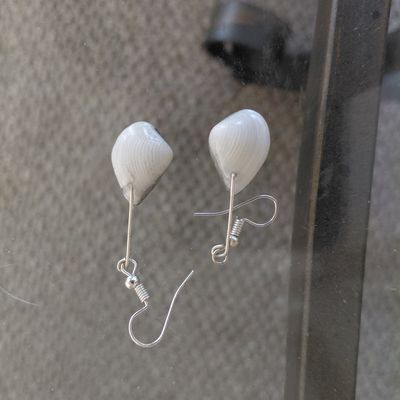 Alternate Tellin Shell Dangle Earrings