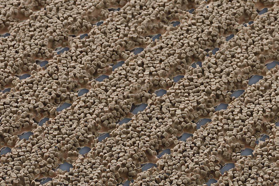 AKO Sicherheitsmatte in der Farbe Sand (Beige) als Nahaufnahme. Das Granulat ist gut erkennbar.