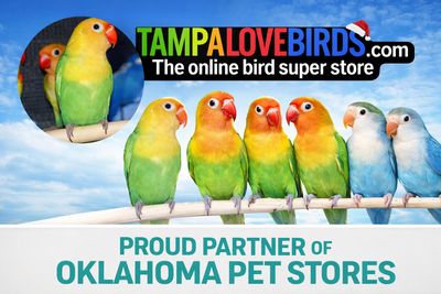 OKLAHOMA BIRD STORE