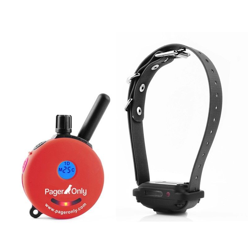 PG-300 PAGER ONLY VIBRATION REMOTE TRAINER