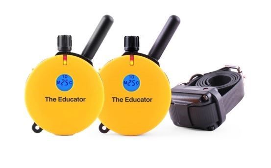 ET-400 2T 1-Dog Educator with 2 Transmitters