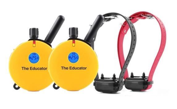ET-402 2T 2-Dog Educator with 2 Transmitters