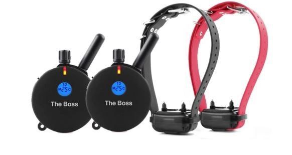 ET-802 2T 2-Dog Boss Educator with 2 Transmitters