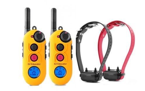 EZ-902 2T 2-Dog Easy Educator with 2 Transmitters