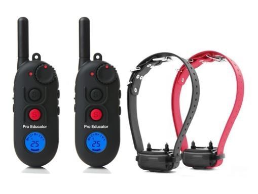 PE-902 2T 2-Dog Pro Educator with 2 Transmitters
