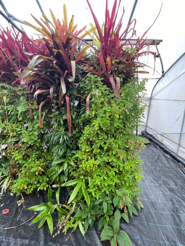 Eco Panel Portrait - best east facing exposed to rain