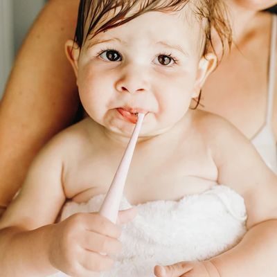 Glitter &amp; Spice Toothbrush Gray