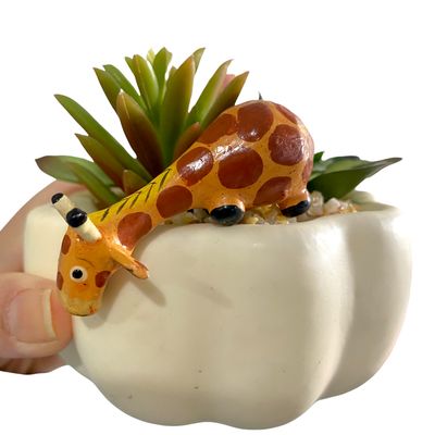 5 Giraffe Shelf Sitters