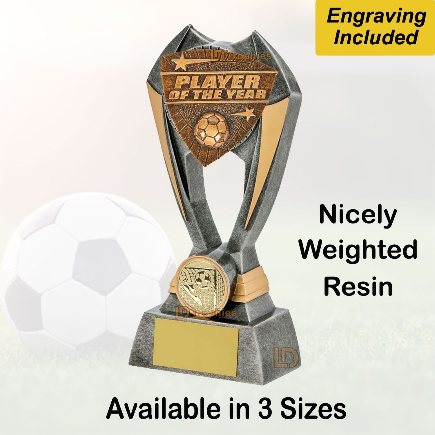 Player of the Year Trophies - Engraving Included