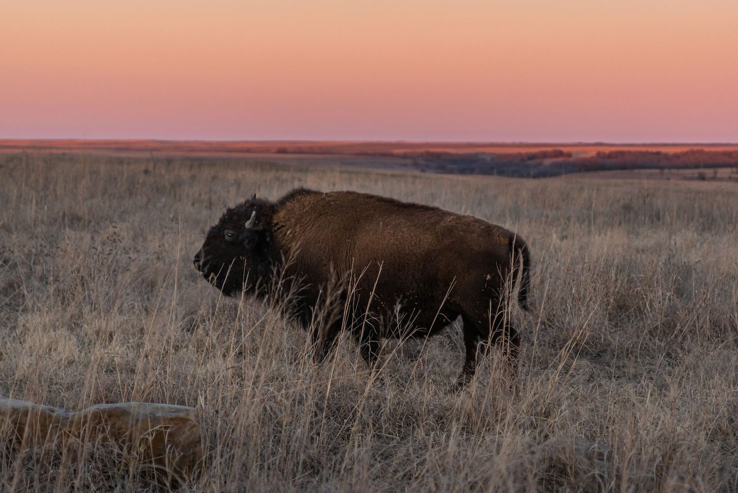 # 6144  Evening Stroll