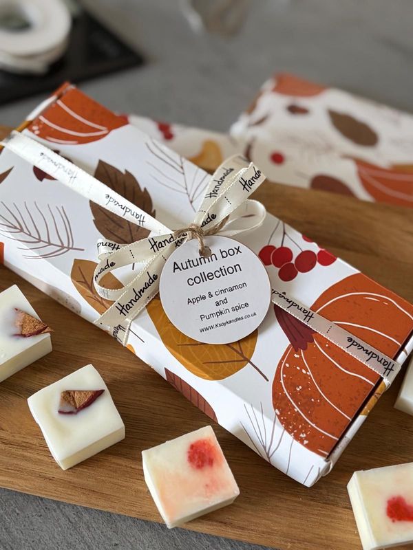 Autumn Box Collection-  wax melts