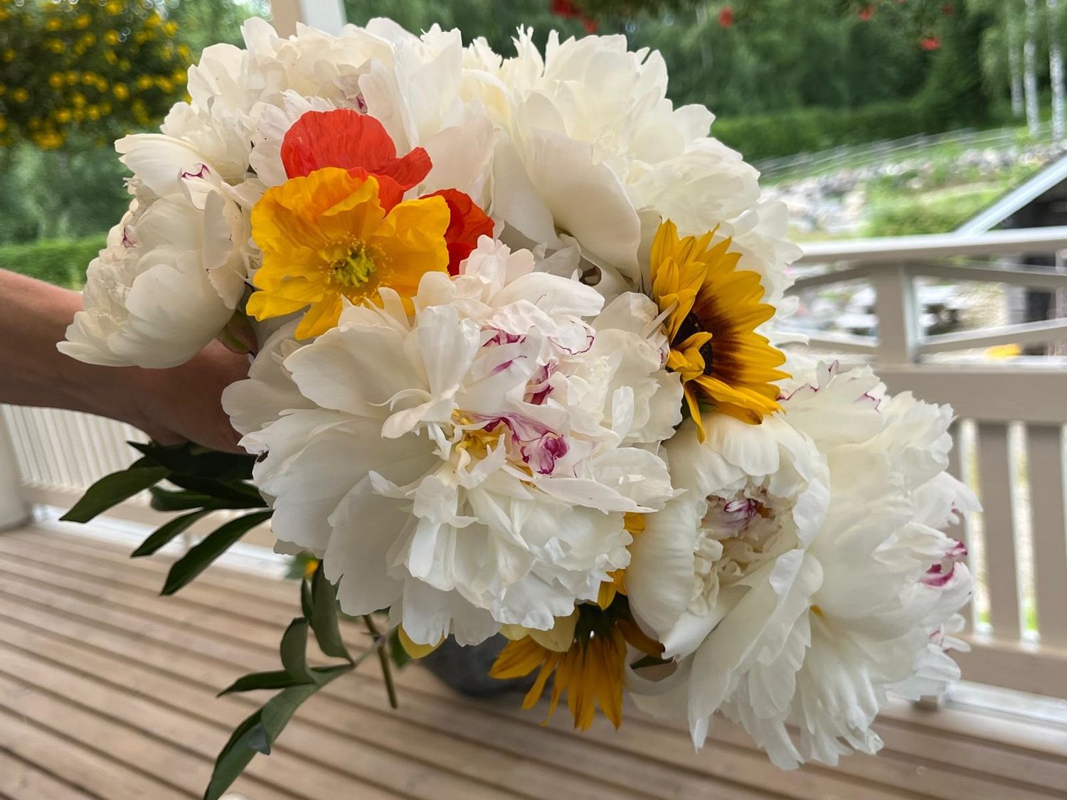 Kuuntele kukkien ja kehon puhetta 27.6.