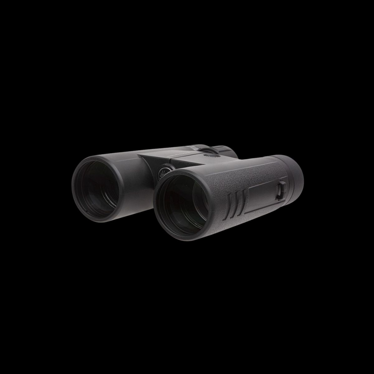 SIG BINOCULAR 10X42