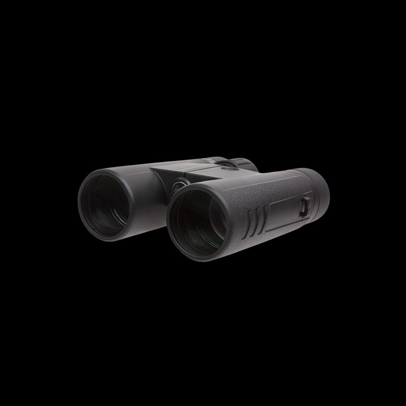 SIG BINOCULAR 10X42