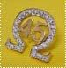 Omega symbol (Ω) w/ Number Lapel Pin