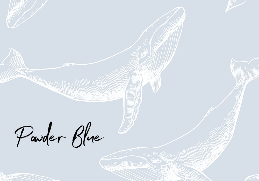 Whale's Daydream Removable Wallpaper (Colour options)