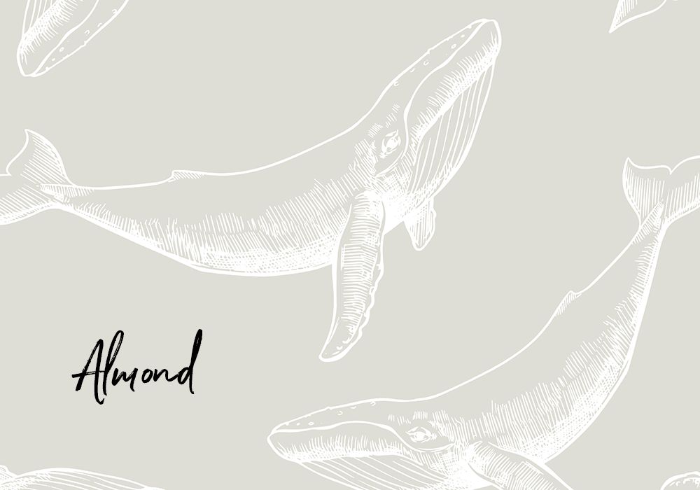 Whale's Daydream Removable Wallpaper (Colour options)