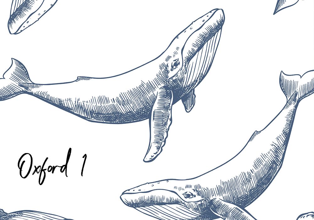 Whale's Daydream Removable Wallpaper (Colour options)