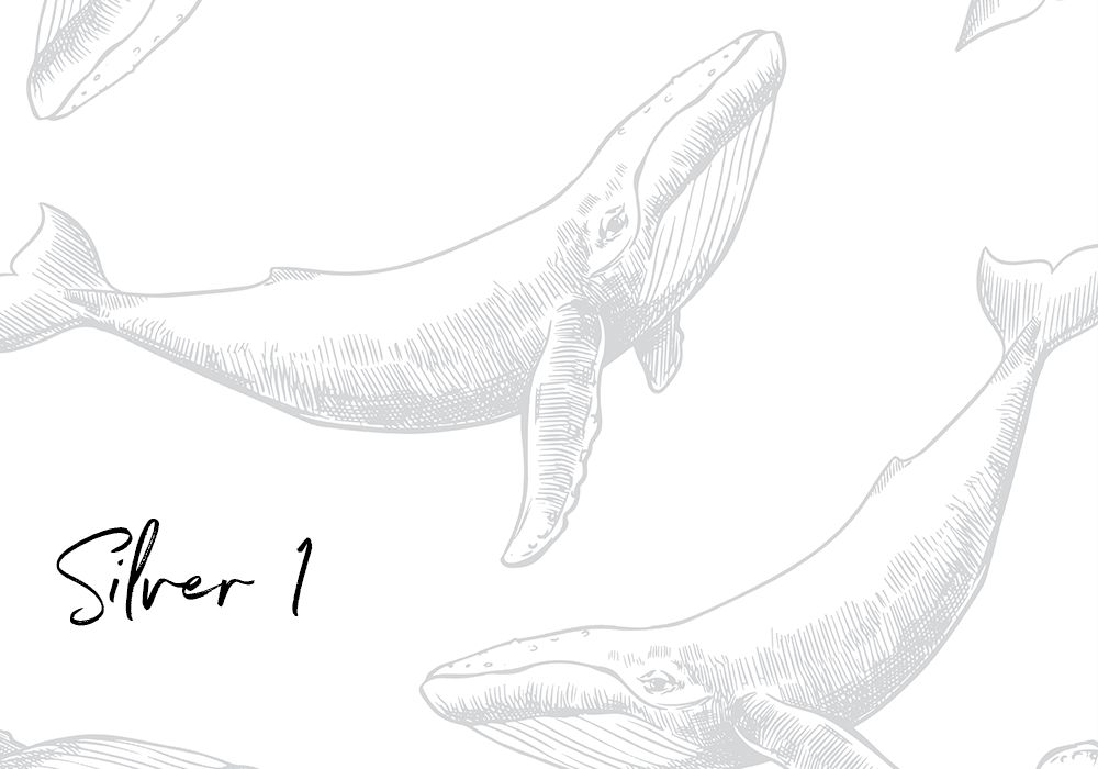 Whale's Daydream Removable Wallpaper (Colour options)