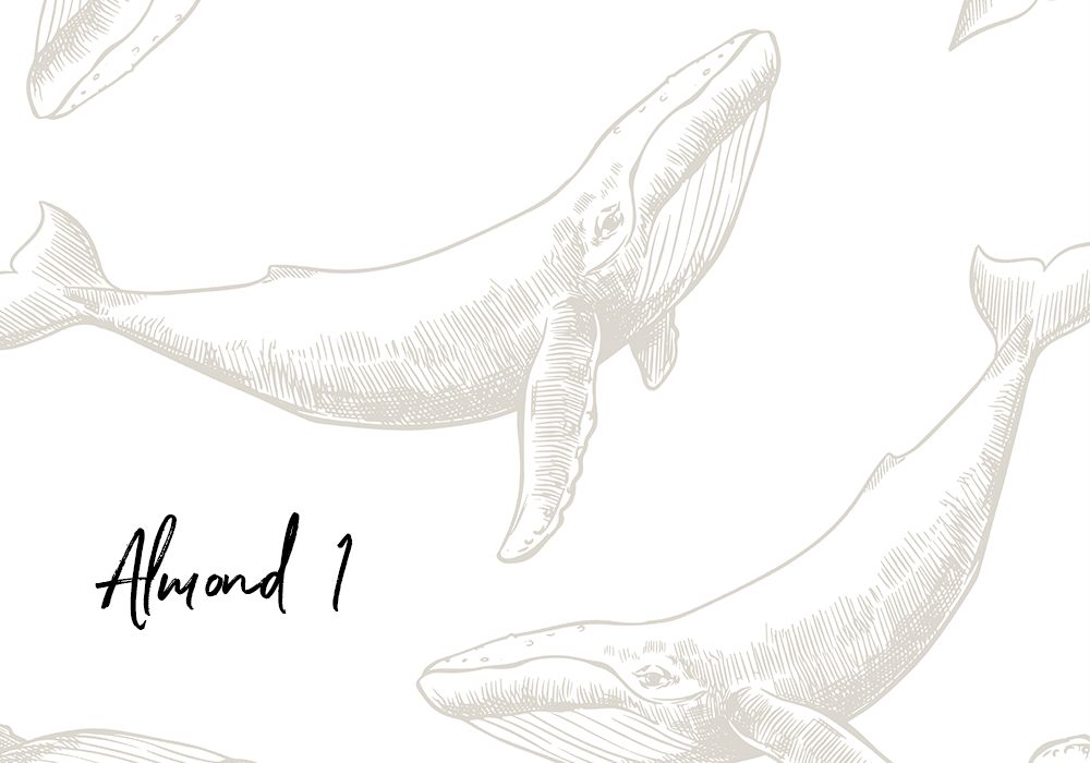 Whale's Daydream Removable Wallpaper (Colour options)