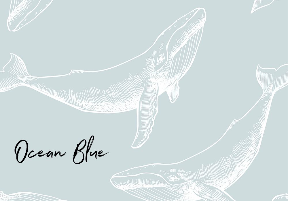 Whale's Daydream Removable Wallpaper (Colour options)