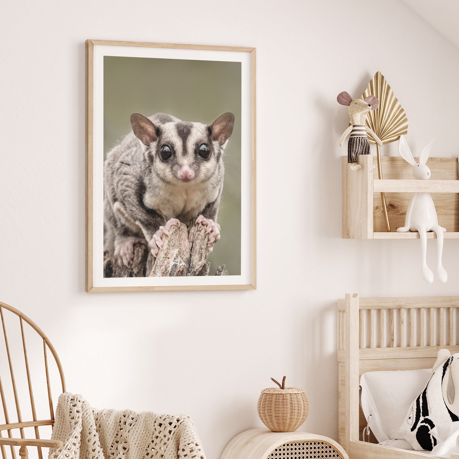 Natural Sugar Glider