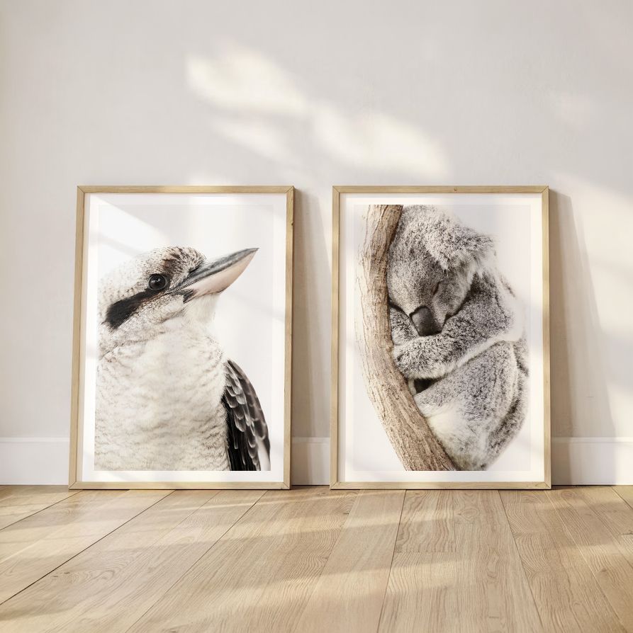 Sleeping Koala and Australian Kookaburra Set
