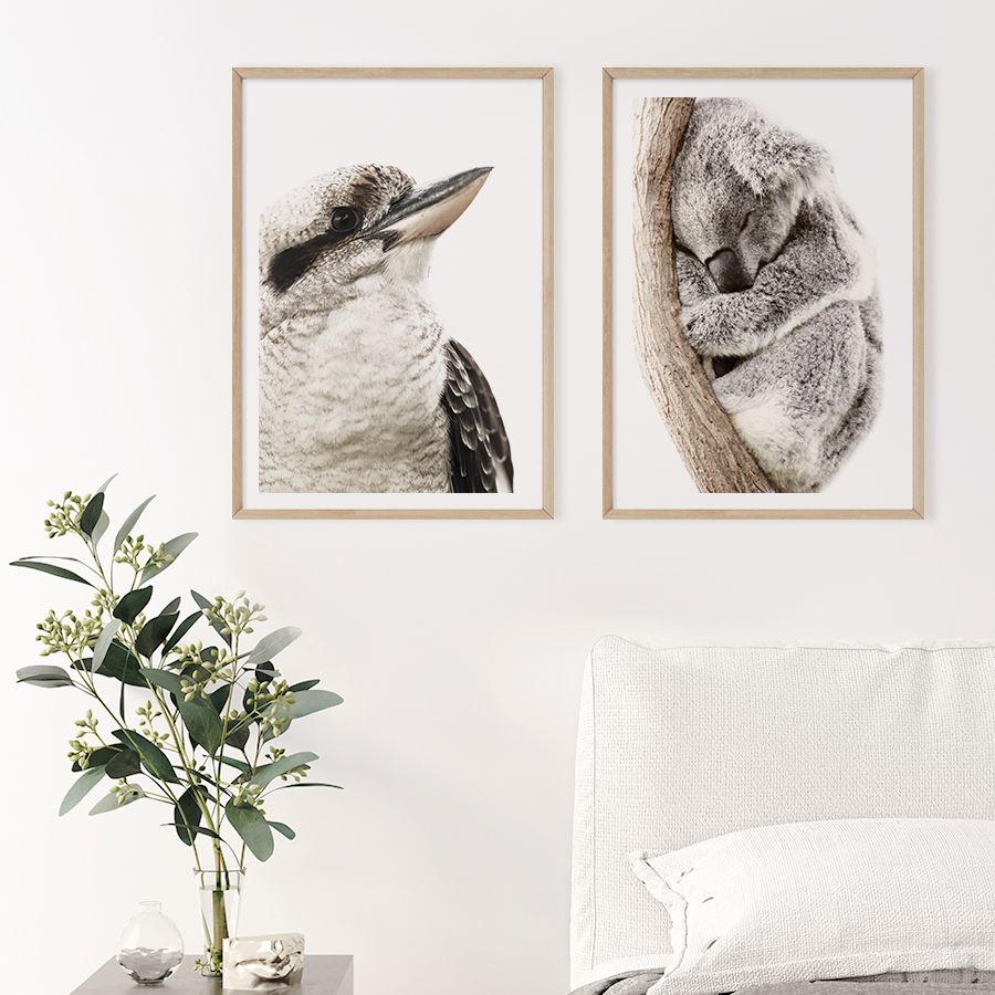 Sleeping Koala and Australian Kookaburra Set