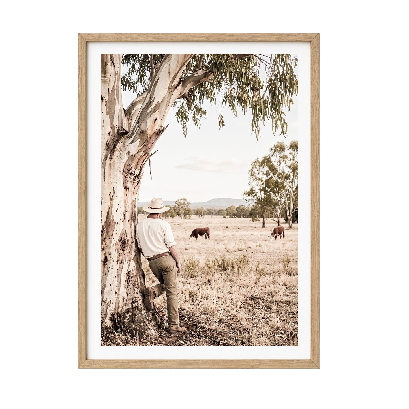 Stockman's Rest