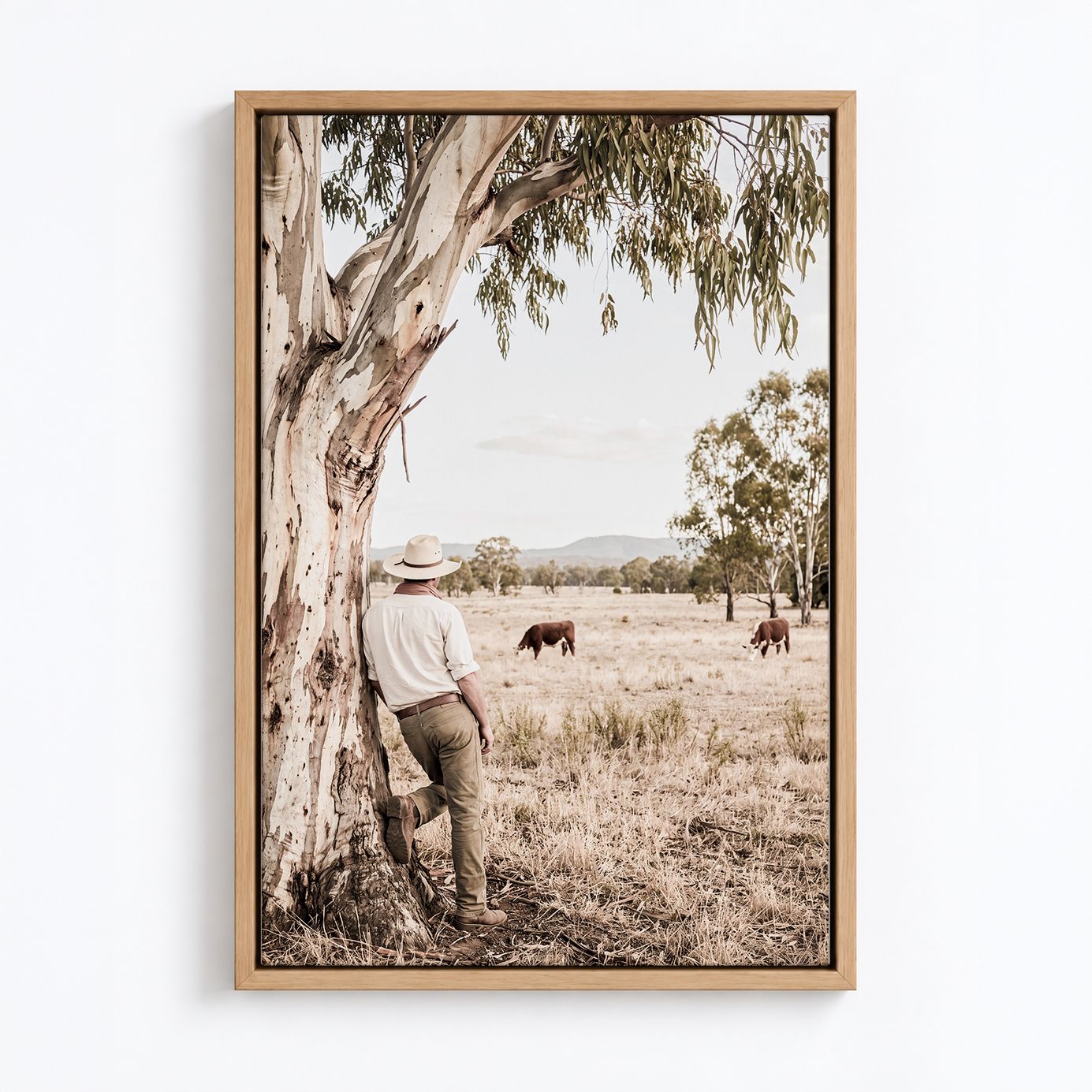 Stockman's Rest