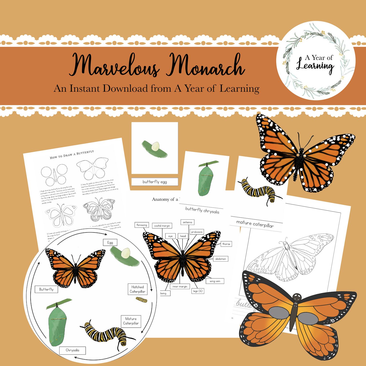 Marvelous Monarch Collection